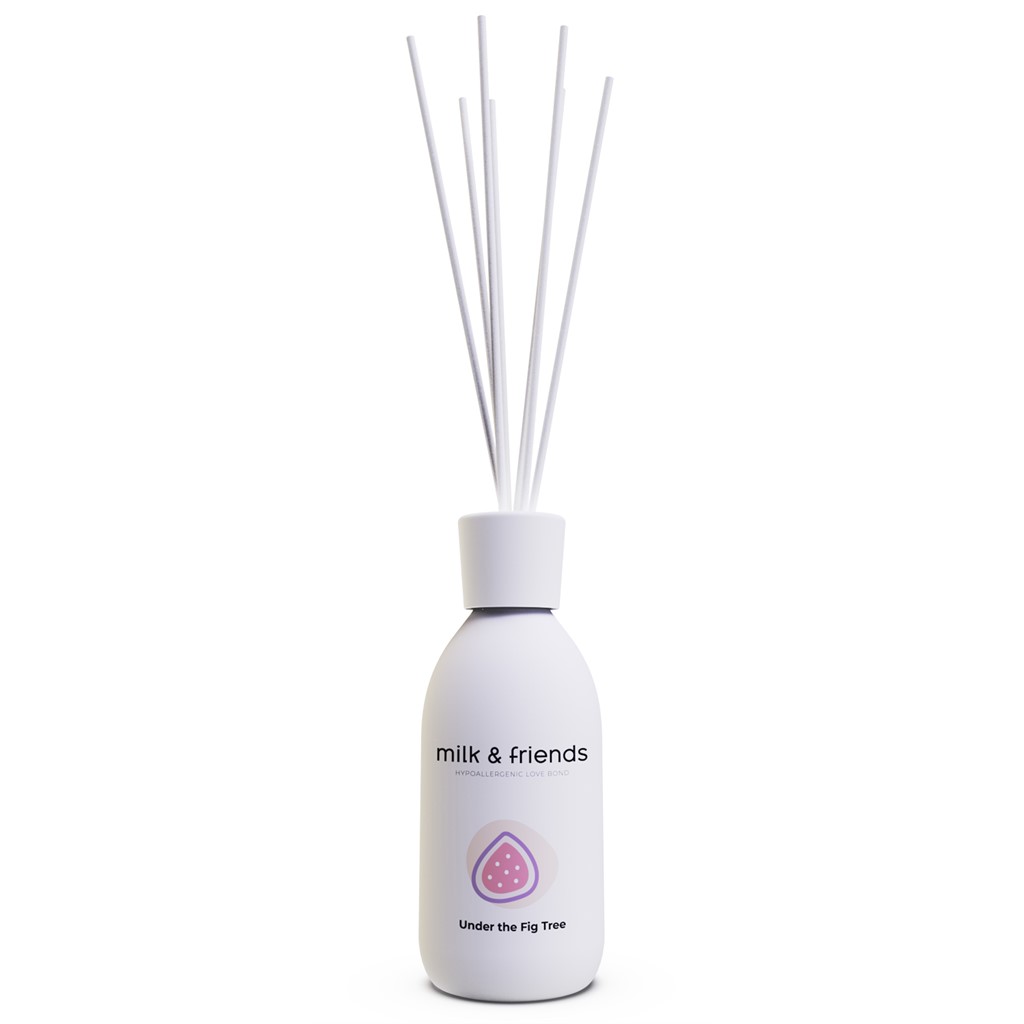 Raumduft Diffuser - 250ml