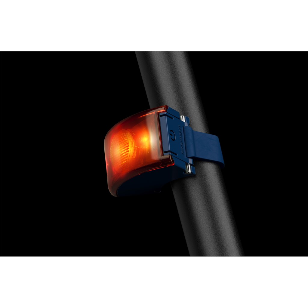 Curve Light Back
