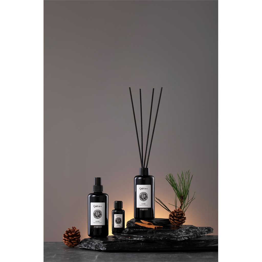 Raumduft Diffuser 200ml Elixir