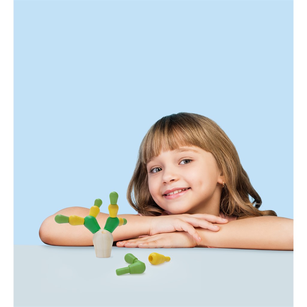 Wooden Toy