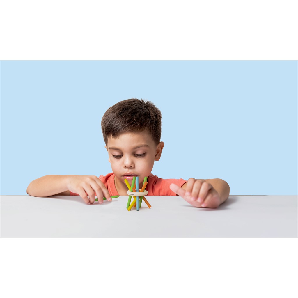Wooden Toy